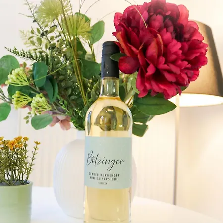 公寓 Black4rest Hase & Igel 弗赖堡