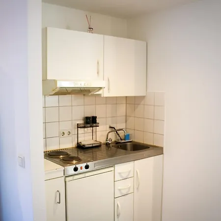 Black4rest Hase & Igel