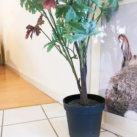 Apartamento Black4rest Hase & Igel Friburgo em Brisgóvia