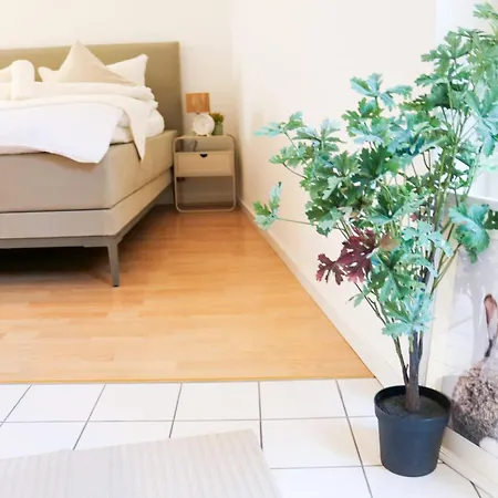 Black4rest Hase & Igel *