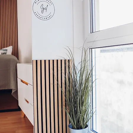 Apartament Black4rest Hase & Igel Fryburg Bryzgowijski